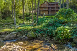 127 Cattail Rd, Lake Lure, NC 28746 - Photo 5