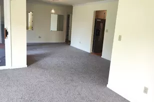 111 Bluffview Ln, Flat Rock, NC 28731 - Photo 3