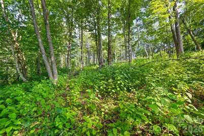 39 Skycamp Trail, Banner Elk, NC 28604 - Photo 9