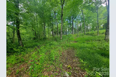 39 Skycamp Trail, Banner Elk, NC 28604 - Photo 7