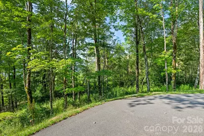 39 Skycamp Trail, Banner Elk, NC 28604 - Photo 11