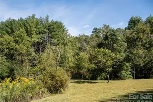 2 Song Bird Ln, Weaverville, NC 28787 - Photo 41