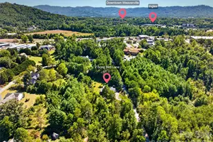 2 Song Bird Ln, Weaverville, NC 28787 - Photo 47