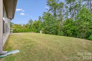 1219 Arges River Dr, Fort Mill, SC 29715 - Photo 39
