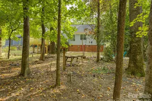 9207 Rainbow Forest Dr, Charlotte, NC 28277 - Photo 45