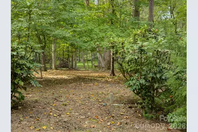 9207 Rainbow Forest Drive, Charlotte, NC 28277 - Photo 43