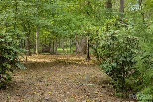 9207 Rainbow Forest Dr, Charlotte, NC 28277 - Photo 43