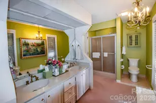 163 Country Ridge Rd, Laurel Park, NC 28739 - Photo 21