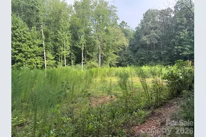 Tbd Sincerity Road, Monroe, NC 28110 - Photo 5
