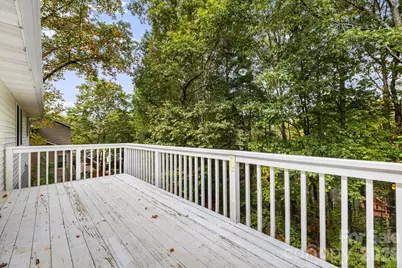 103 Tarragon Place, Flat Rock, NC 28731 - Photo 29