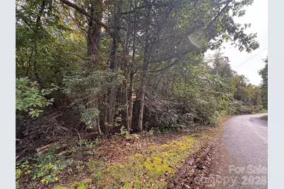 81 Bird Creek Estates Road, Black Mountain, NC 28711 - Photo 5