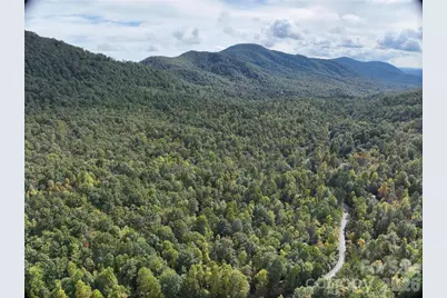 81 Bird Creek Estates Road, Black Mountain, NC 28711 - Photo 1