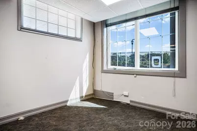 313 Main Avenue NE, Hickory, NC 28601 - Photo 29