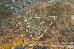 9999 Weaver Hill Rd, Asheville, NC 28805 - Photo 3