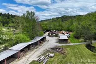 688 Blueberry Farm Rd, Zirconia, NC 28790 - Photo 37