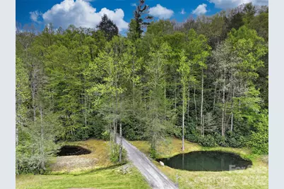 688 Blueberry Farm Road, Zirconia, NC 28790 - Photo 47