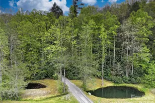 688 Blueberry Farm Rd, Zirconia, NC 28790 - Photo 47