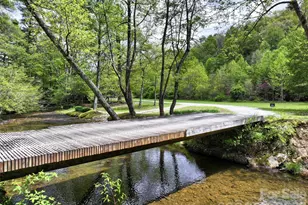 688 Blueberry Farm Rd, Zirconia, NC 28790 - Photo 35