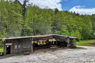 688 Blueberry Farm Rd, Zirconia, NC 28790 - Photo 43