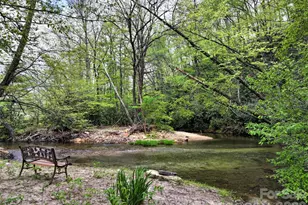 688 Blueberry Farm Rd, Zirconia, NC 28790 - Photo 45