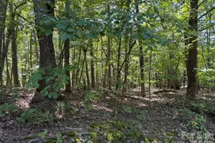 00 Washington Ridge Rd, Statesville, NC 28677 - Photo 1