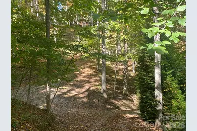349 Barefoot Cove, Burnsville, NC 28714 - Photo 25