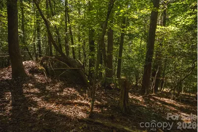 394 Rainbow Trout Drive, Hays, NC 28635 - Photo 31