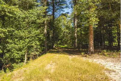 394 Rainbow Trout Drive, Hays, NC 28635 - Photo 41