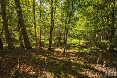 394 Rainbow Trout Drive, Hays, NC 28635 - Photo 11