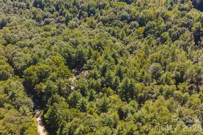 394 Rainbow Trout Drive, Hays, NC 28635 - Photo 29