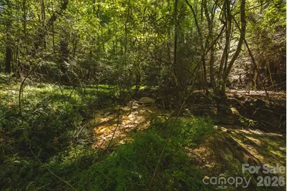 394 Rainbow Trout Drive, Hays, NC 28635 - Photo 17