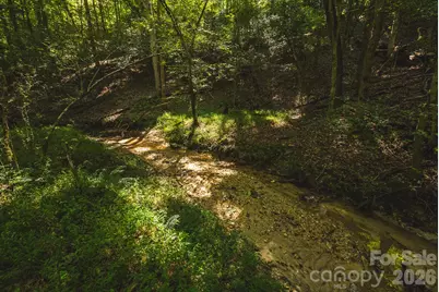 394 Rainbow Trout Drive, Hays, NC 28635 - Photo 37