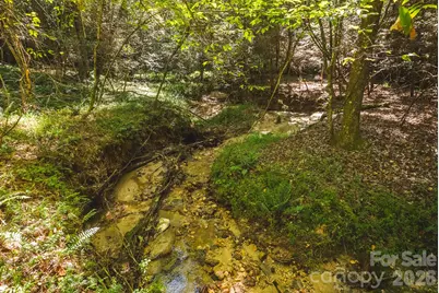 394 Rainbow Trout Drive, Hays, NC 28635 - Photo 13
