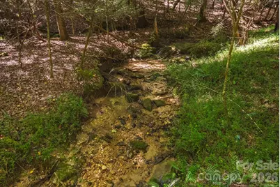 394 Rainbow Trout Drive, Hays, NC 28635 - Photo 33