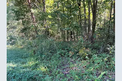 4.63 Acres Jessie Mays Lane, Taylorsville, NC 28681 - Photo 27