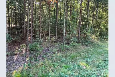 4.63 Acres Jessie Mays Lane, Taylorsville, NC 28681 - Photo 1