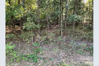 4.63 Acres Jessie Mays Lane, Taylorsville, NC 28681 - Photo 7