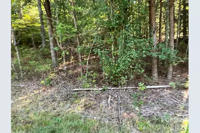 4.63 Acres Jessie Mays Lane, Taylorsville, NC 28681 - Photo 5