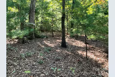 4.63 Acres Jessie Mays Lane, Taylorsville, NC 28681 - Photo 23