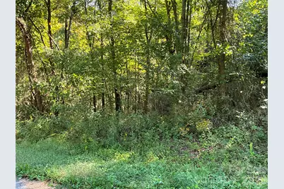 4.63 Acres Jessie Mays Lane, Taylorsville, NC 28681 - Photo 31