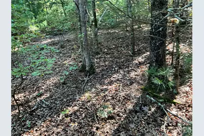 4.63 Acres Jessie Mays Lane, Taylorsville, NC 28681 - Photo 15