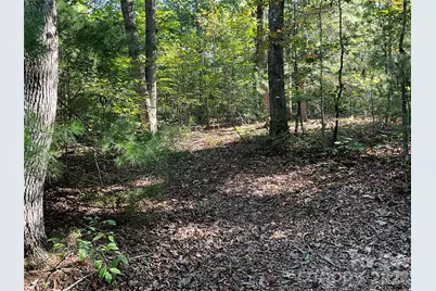 4.63 Acres Jessie Mays Lane, Taylorsville, NC 28681 - Photo 19