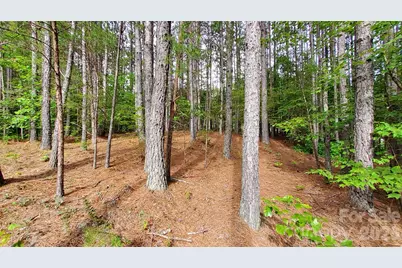 0 Sunset Drive #12, Mill Spring, NC 28756 - Photo 21