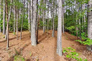 0 Sunset Dr, Mill Spring, NC 28756 - Photo 21