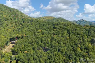 375 Daly Dr, Clyde, NC 28721 - Photo 41