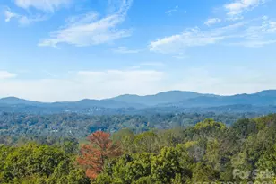 14 Herron View Ln, Weaverville, NC 28787 - Photo 39