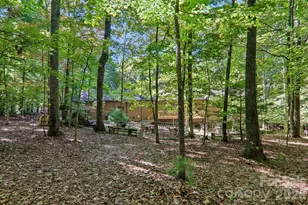 198 Woods End Dr, Hendersonville, NC 28739 - Photo 33