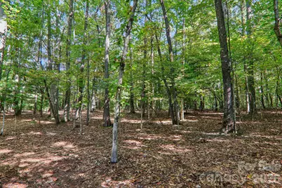 198 Woods End Drive, Hendersonville, NC 28739 - Photo 31