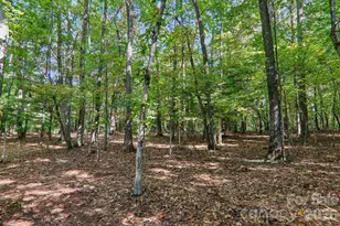 198 Woods End Dr, Hendersonville, NC 28739 - Photo 31
