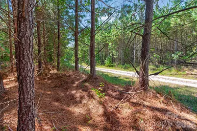 0000 Narrow Bridge Road #3, Chester, SC 29706 - Photo 13